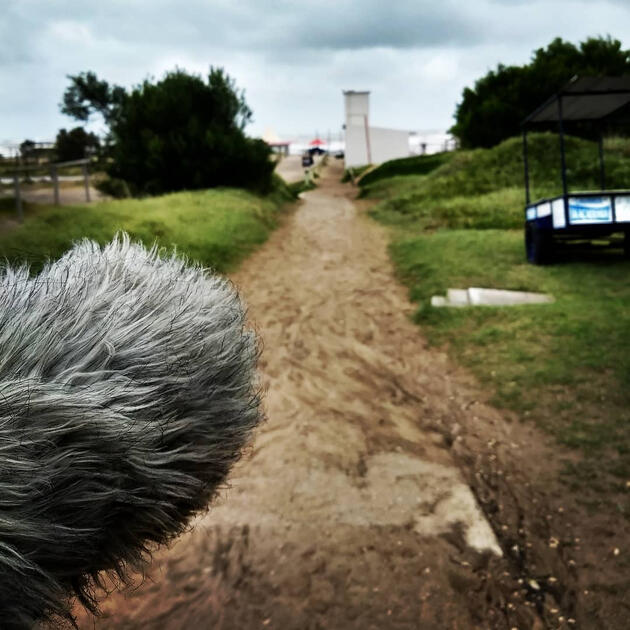 Sonido ambiente en Mar del plata